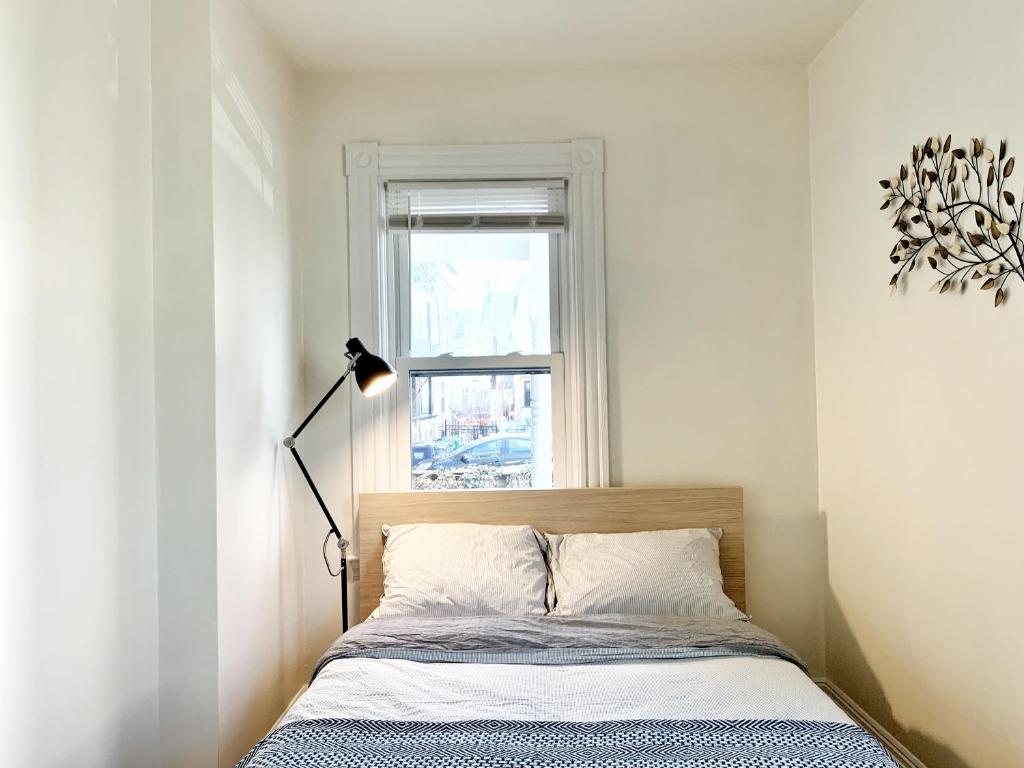 Best Location At Harvard University! 4 Bedroom Apartment! Two Units Available!, Boston