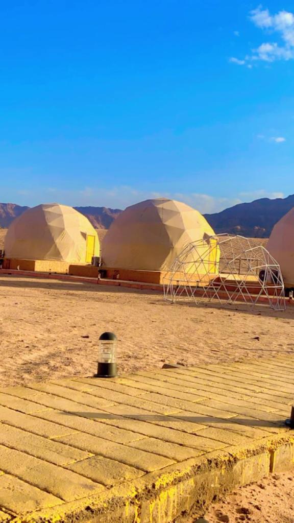 RAMA CAMP wadi rum photo 1