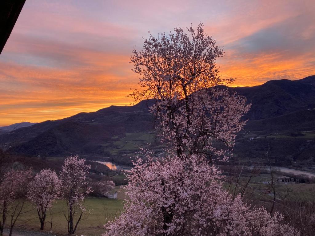 Casa nella natura a Bobbio photo 3