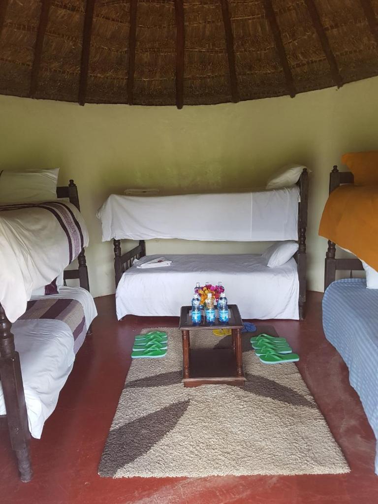 The Great Circle Lodge photo 2