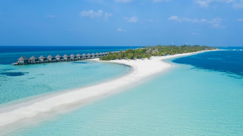Kuredu Island Resort & Spa photo 4