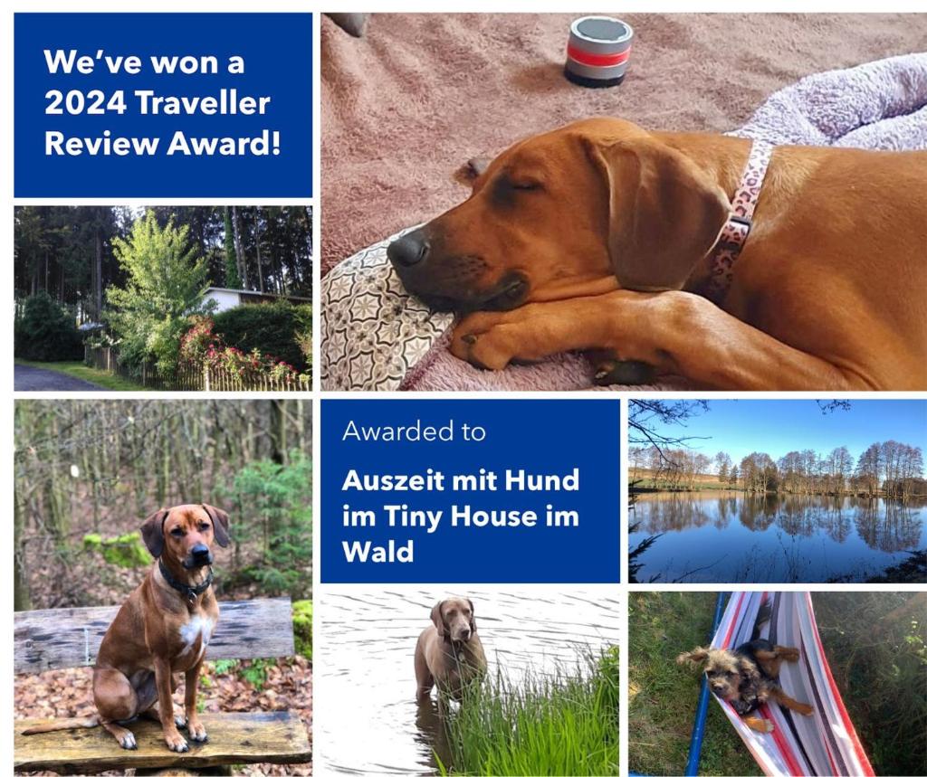 Hundeurlaub im Tiny House im Wald