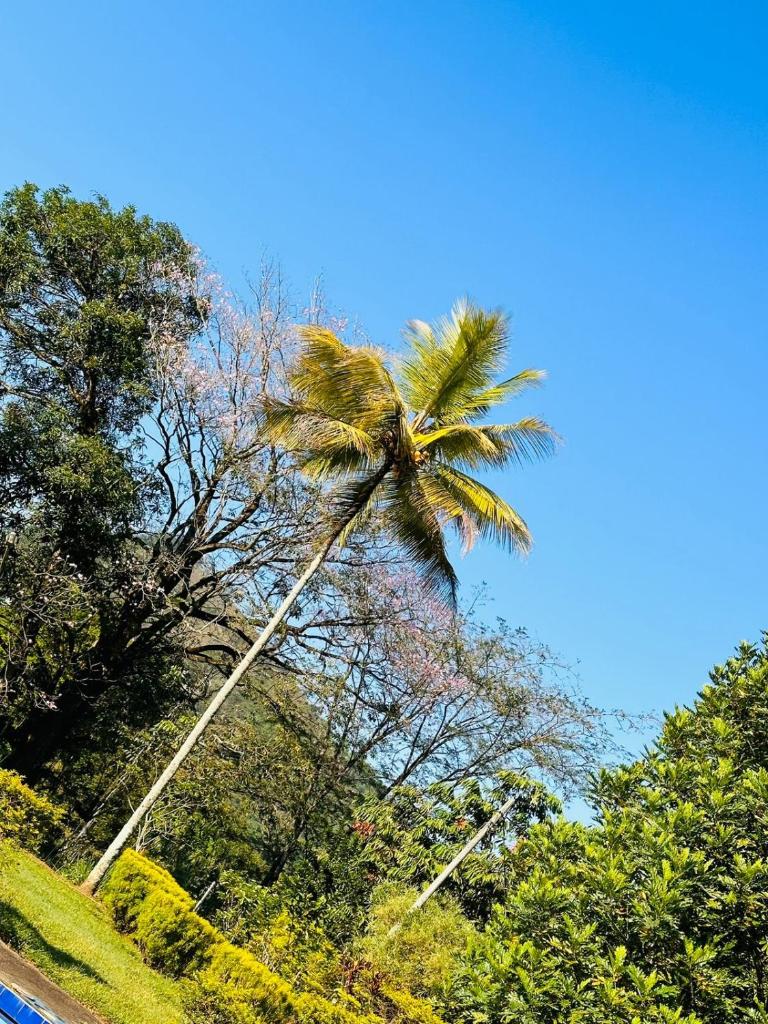 Kothmale Holiday Resort photo 3