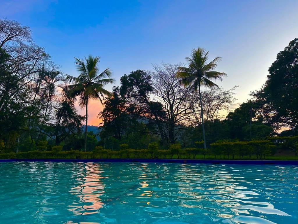 Kothmale Holiday Resort photo 4