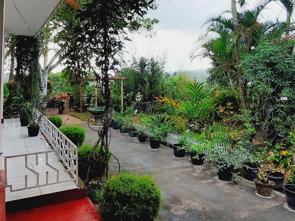 Mountain Paradise Homestay photo 1