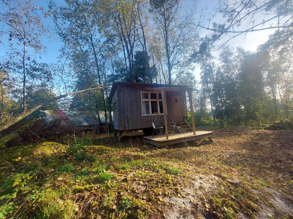 Gemütliches Tiny House Uggla im Wald am See