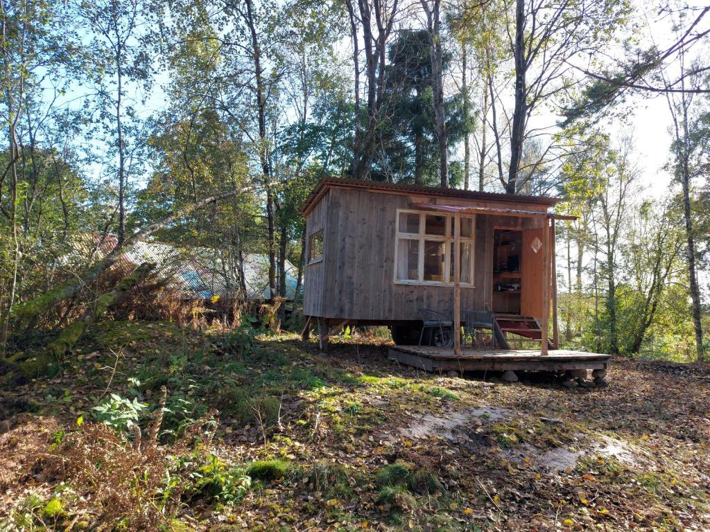 Gemütliches Tiny House Uggla im Wald am See photo 4