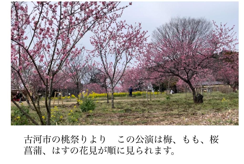 コンドミニアム　アガサンクス photo 3
