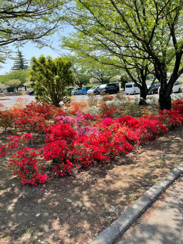コンドミニアム　アガサンクス photo 1