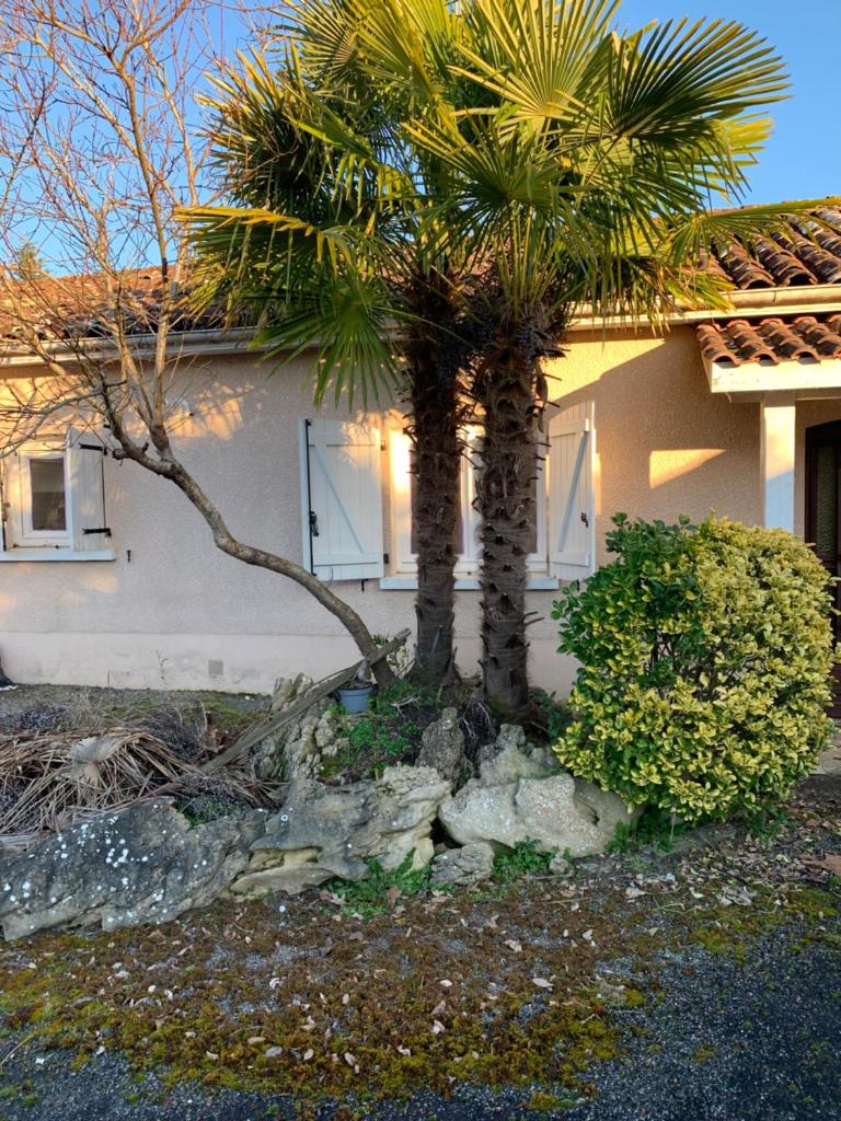 Petite maison dans un village du Gers photo 3