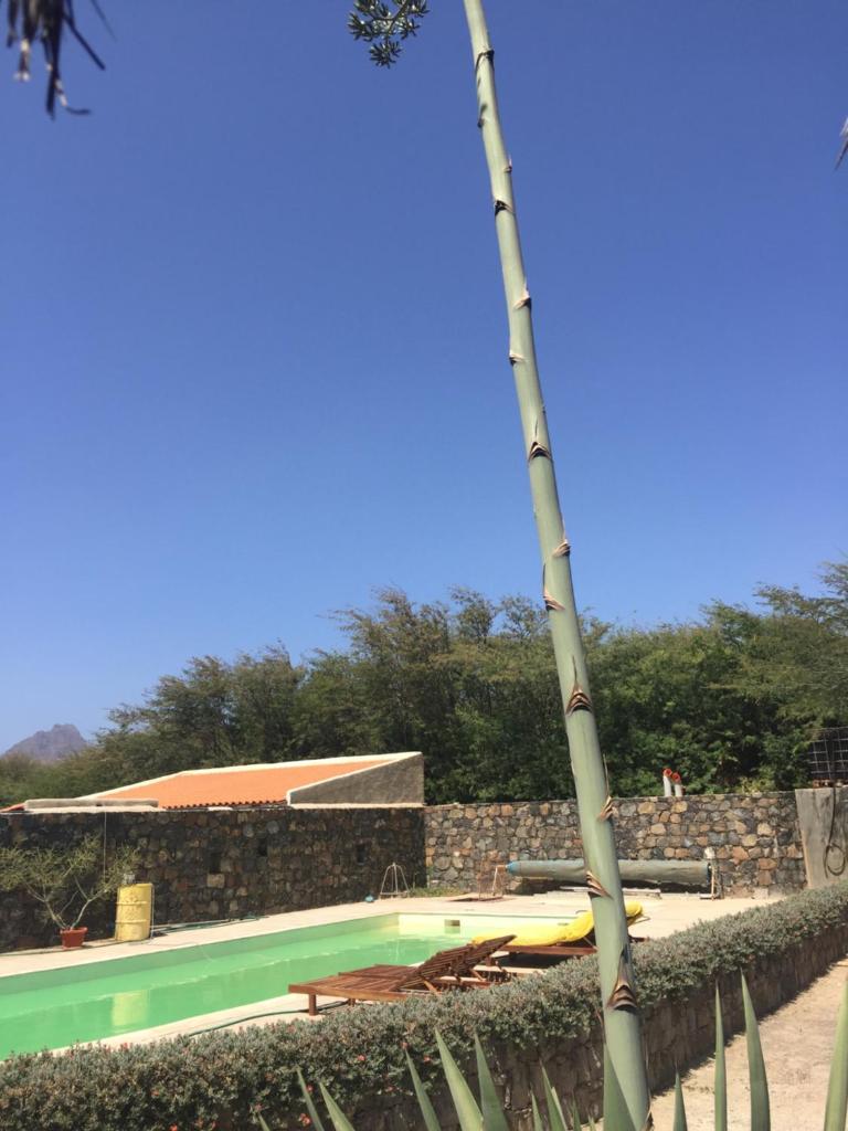 Villa Morabeza Guest House photo 1