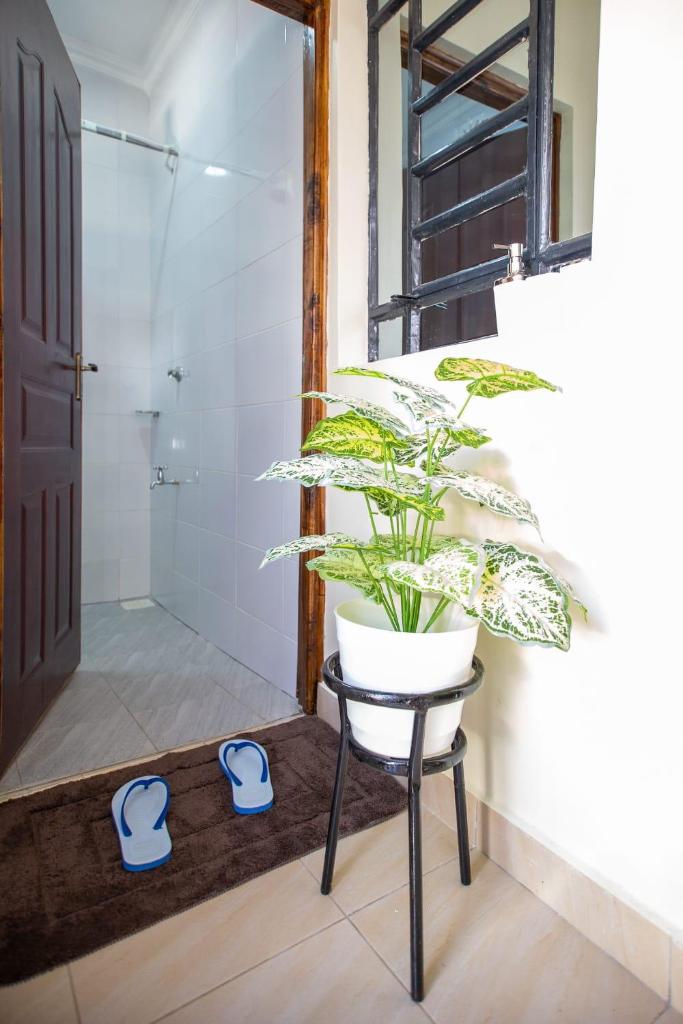 Tegera Homes photo 4
