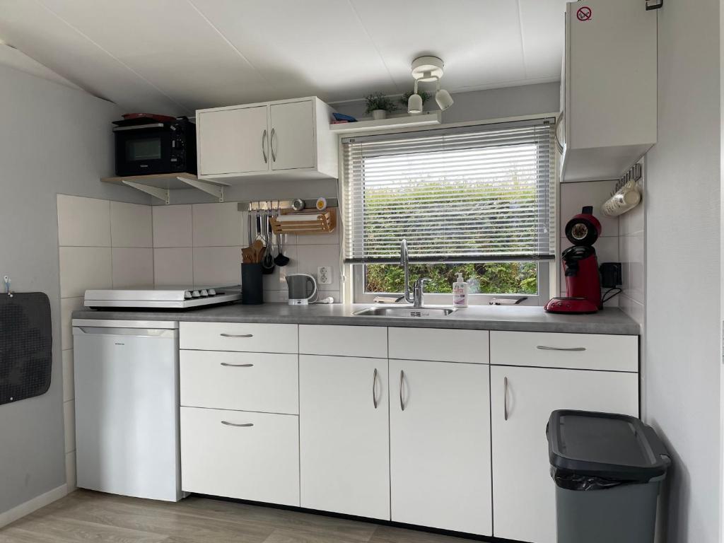 Luxe chalet Friesland - 5 pers photo 3