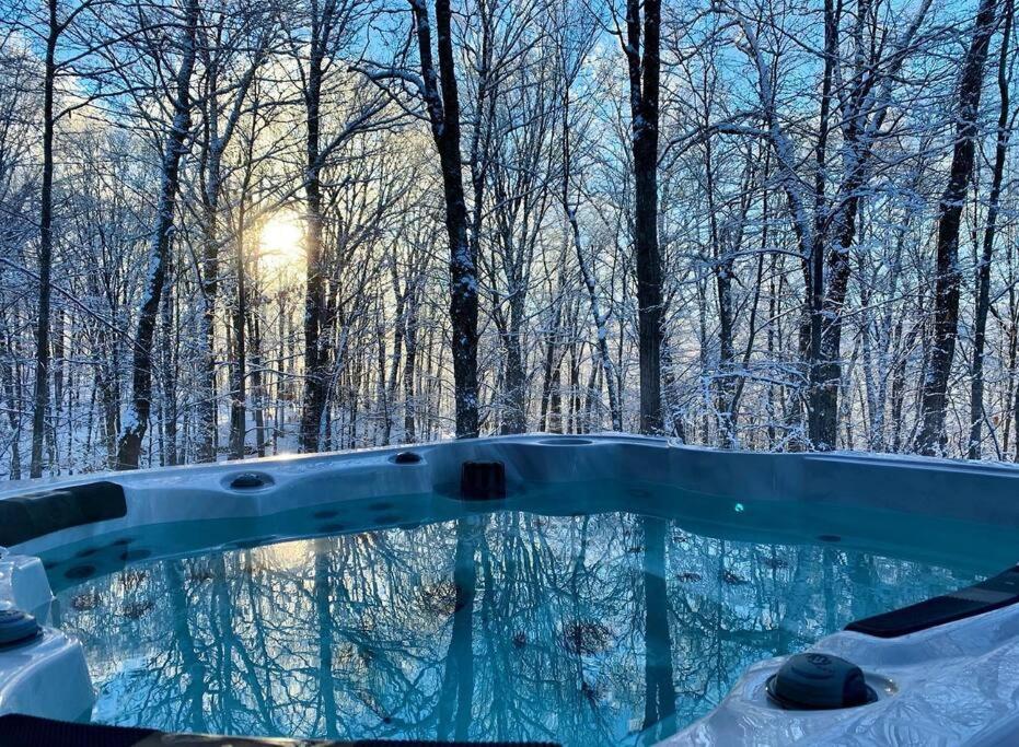Vivez l'expérience chalet SPA au cœur de la nature photo 2