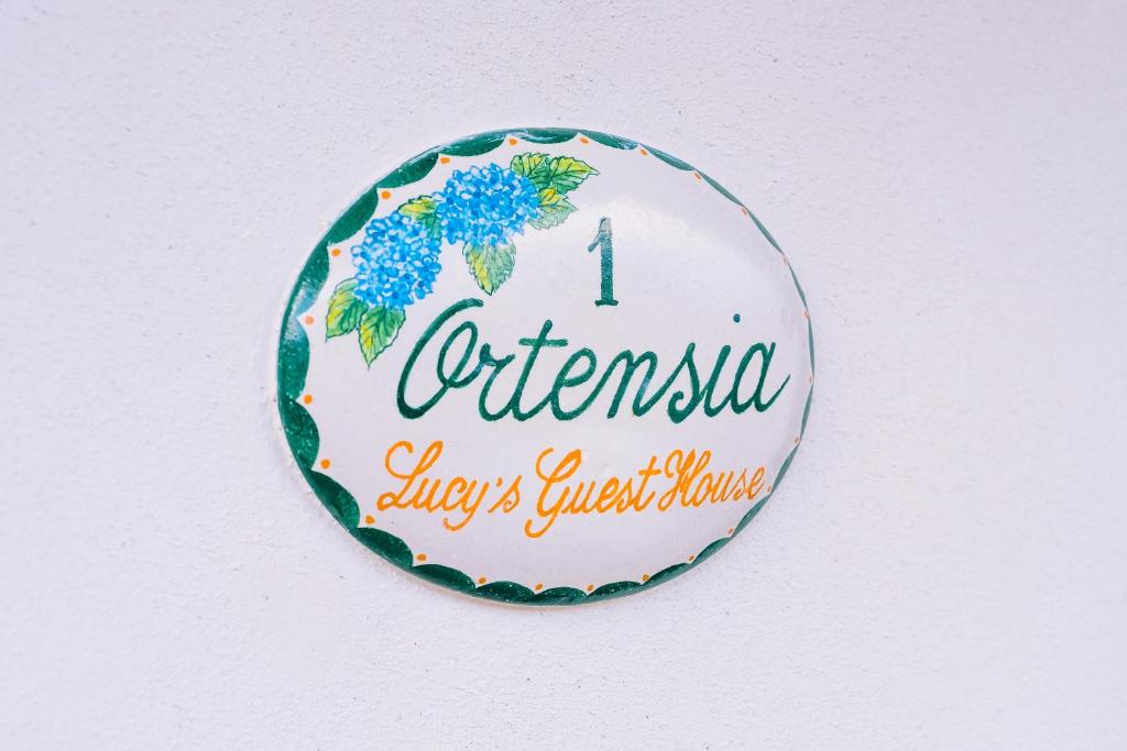 Lucy's guest house Amalfi coast photo 2