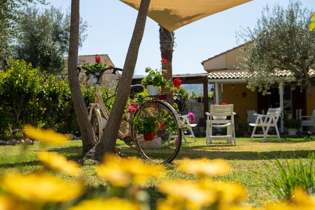 Casa Vacanza Oasi photo 3