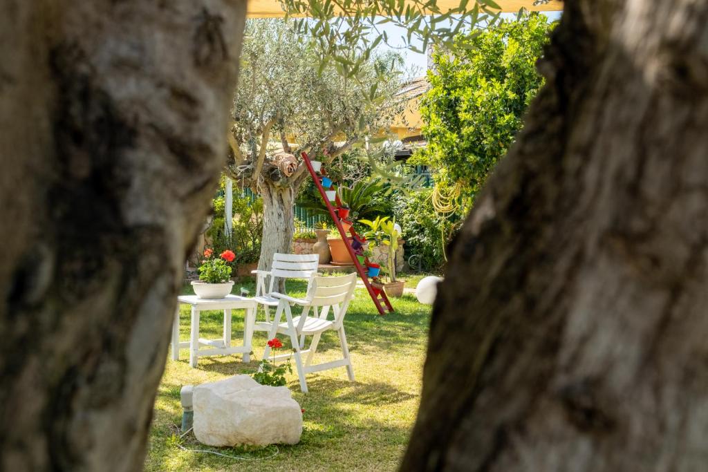 Casa Vacanza Oasi photo 2