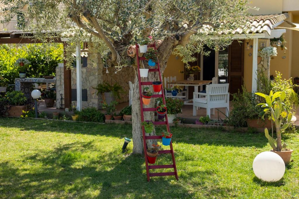 Casa Vacanza Oasi photo 4
