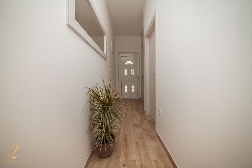 Apartment Rosemary - Happy Rentals photo 4