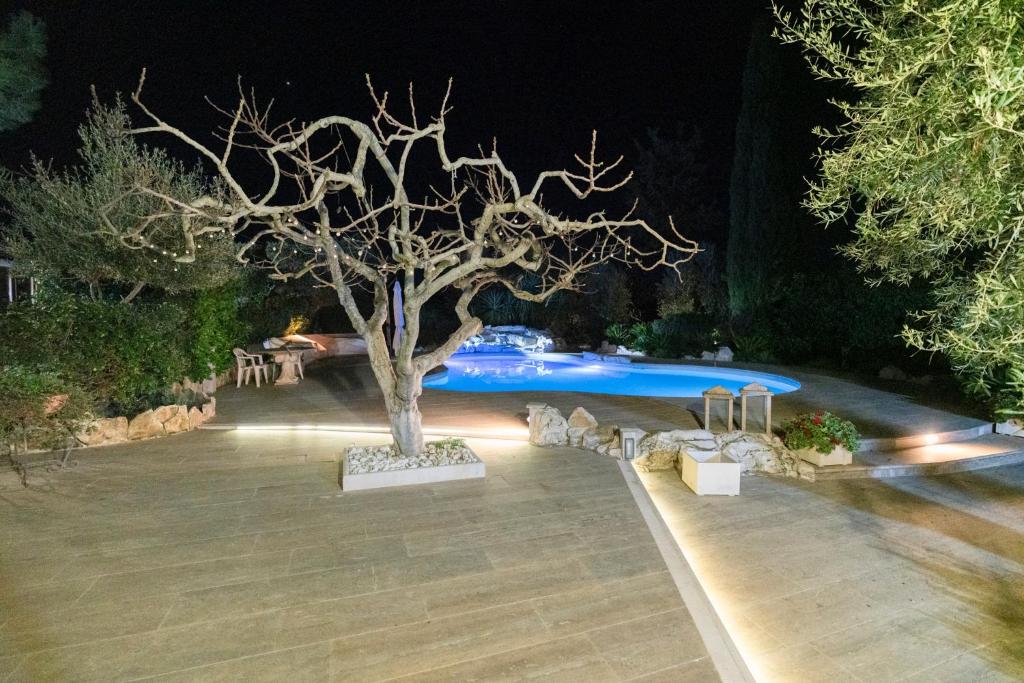 L'antica quercia photo 2