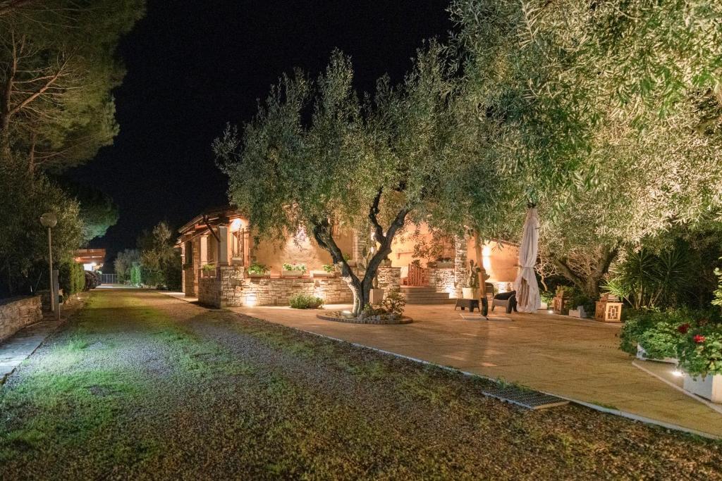 L'antica quercia