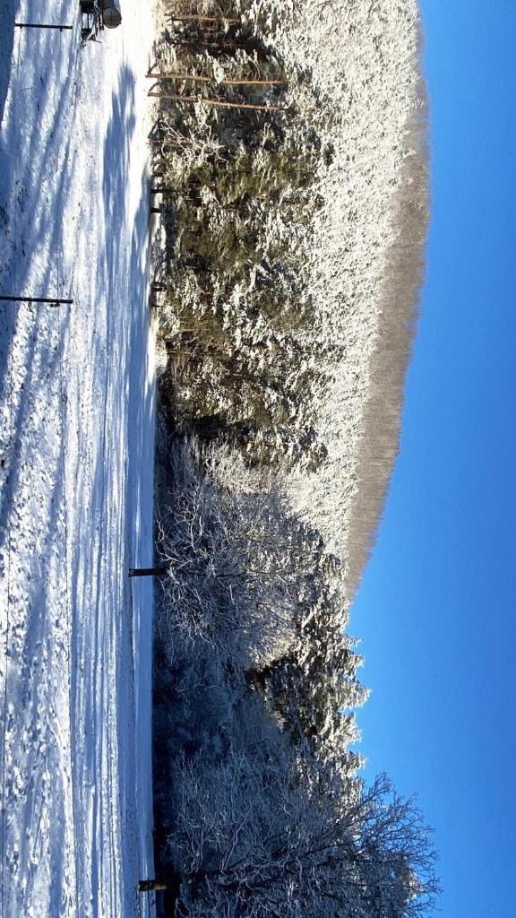 Chalet du Liesthal photo 2