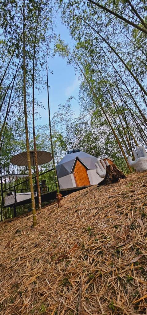 Glamping y Cabañas Alpina photo 1