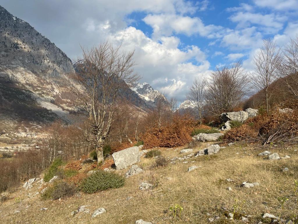 Paja Guesthouse - Camping photo 3