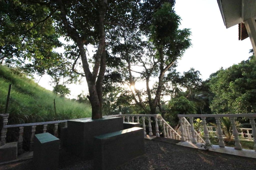 Peaceful Paradise Villa photo 4