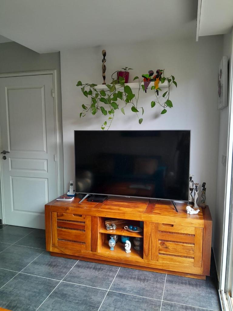 Appartement Cogolin photo 4