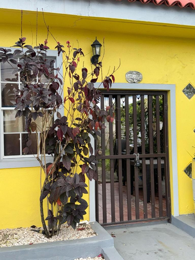 3BR, 1BA Spacious Property in Cataño, Near Bacardí photo 4