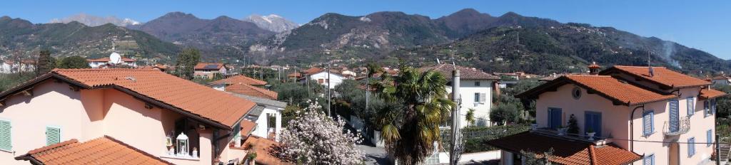 House Versilia Luca E Giada, 5 chilometri da Forte dei Marmi! photo 1