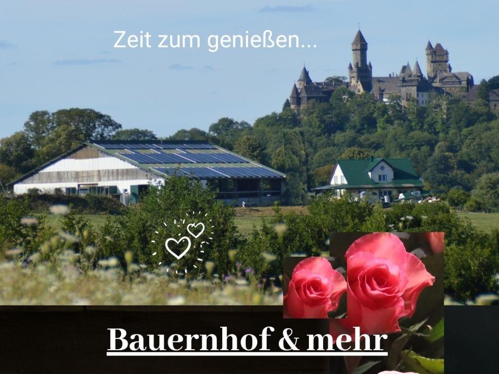 Kleine einzigartige Ferienwohnung auf dem Bauernhof, direkt in der Natur mit Blick auf Schloss Braunfels photo 1