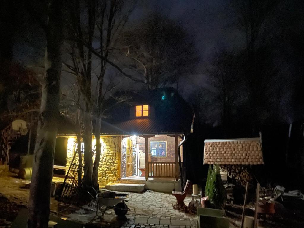 Brvnara Iverak, Tara photo 1