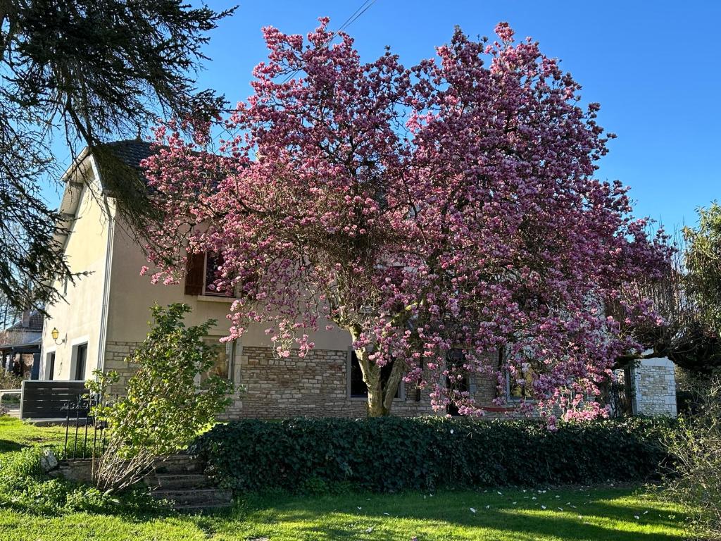 Gîte la corne aux vaches photo 4