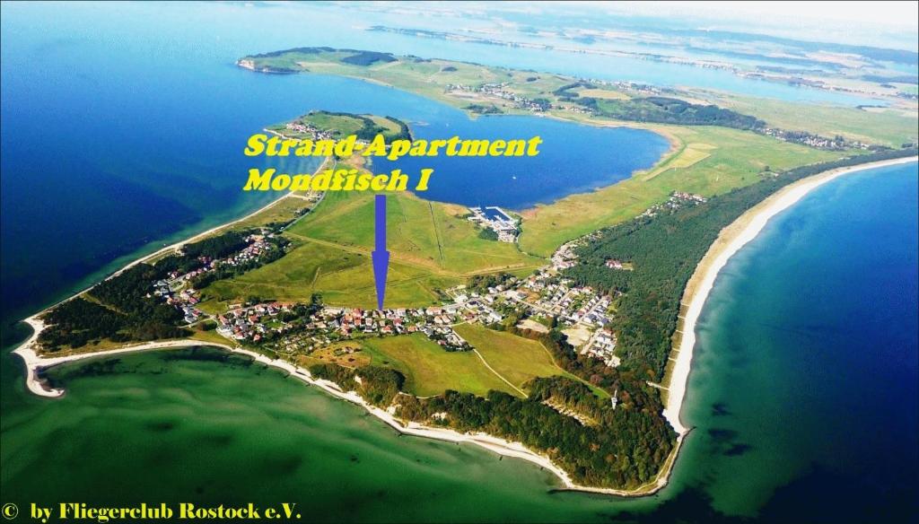 Strandapartment-Mondfisch an der Ostsee photo 1