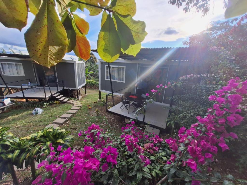Emmas Tropical Finca