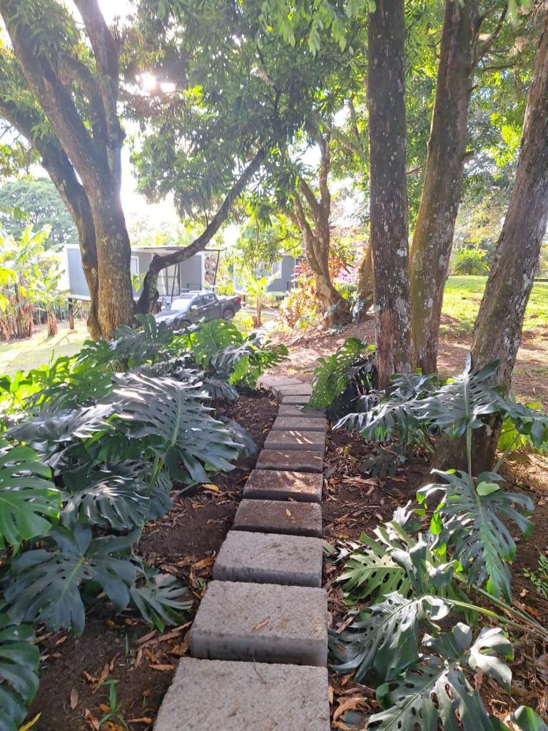 Emmas Tropical Finca photo 3