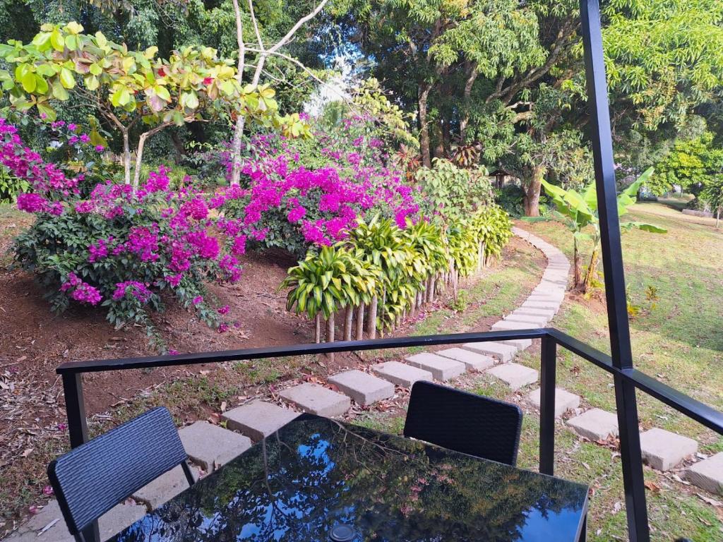Emmas Tropical Finca photo 4