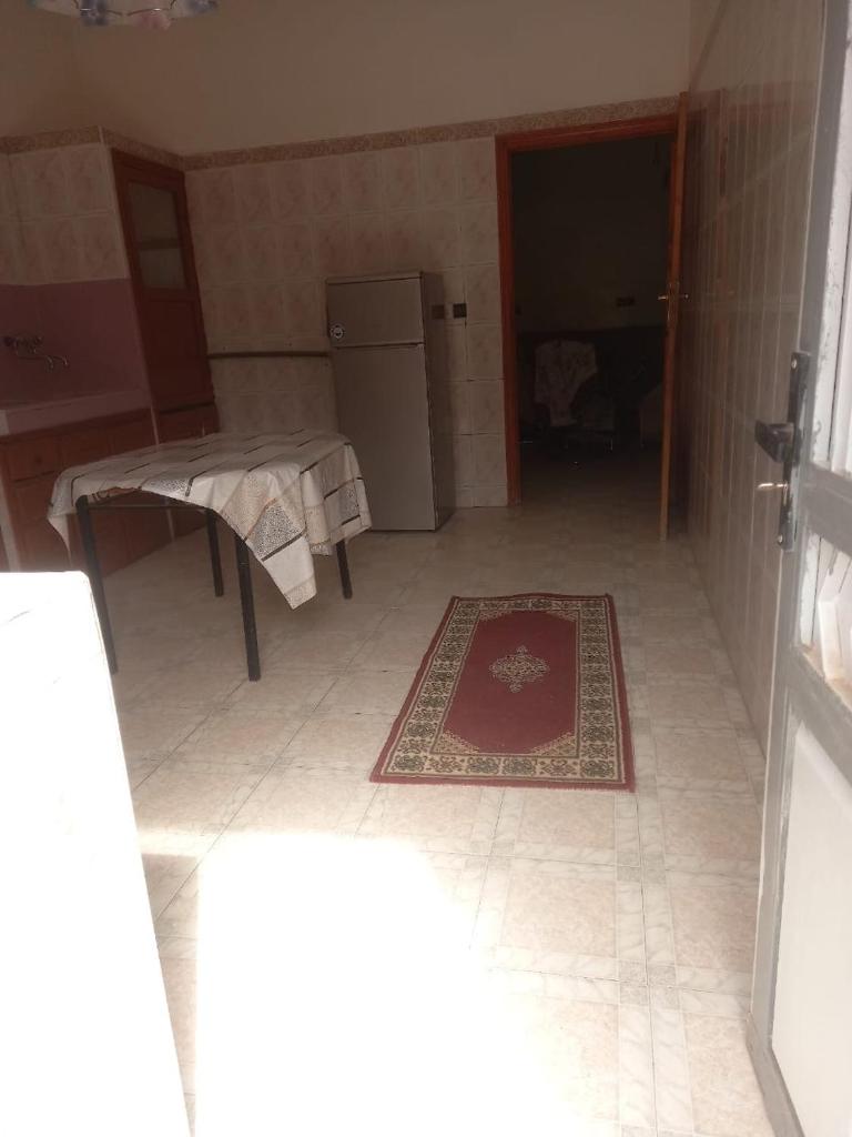 Oasispalmares photo 1