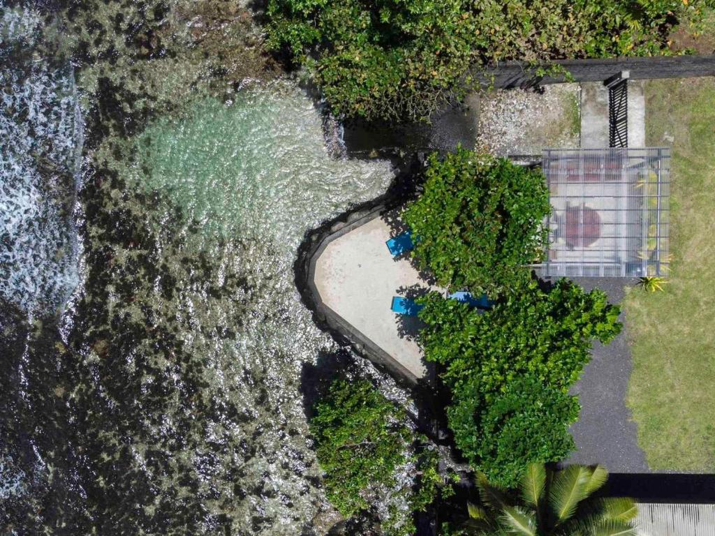 MOTU NONO HOUSE photo 2