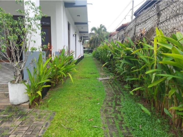 Negombo Royal Villa by Hotel Oviniru photo 4