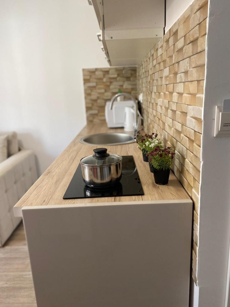 Apartmani Vila Ana photo 3