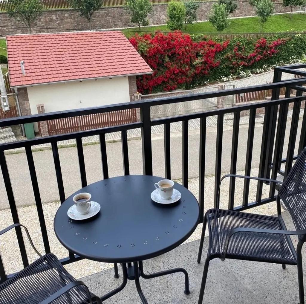 Apartmani Vila Ana photo 1