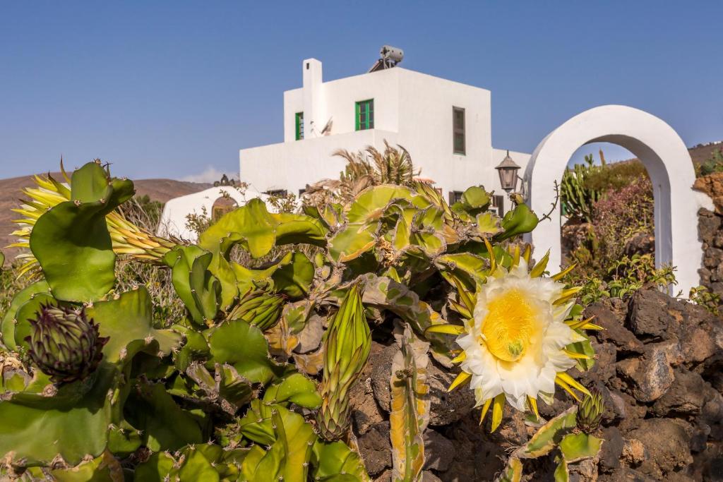 Eco Finca Verde photo 2