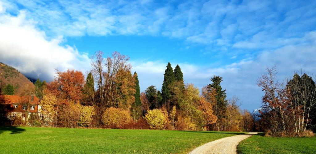 Staufenhof photo 1