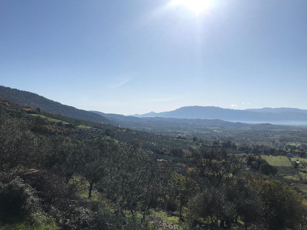 House near Rome with Beautiful Views and Pool photo 1