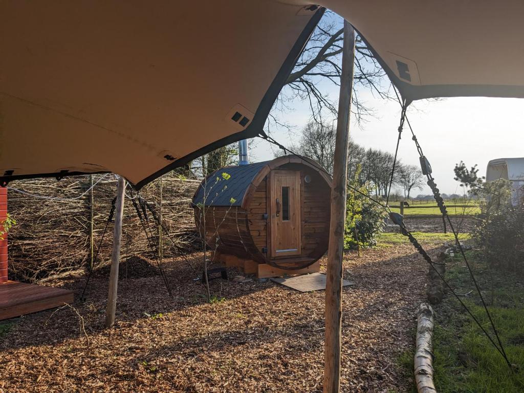 Boshut "Het Zwijntje" met sauna photo 2