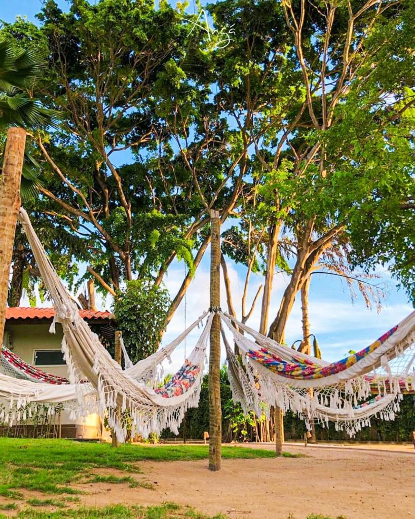 Anga Hotel photo 3