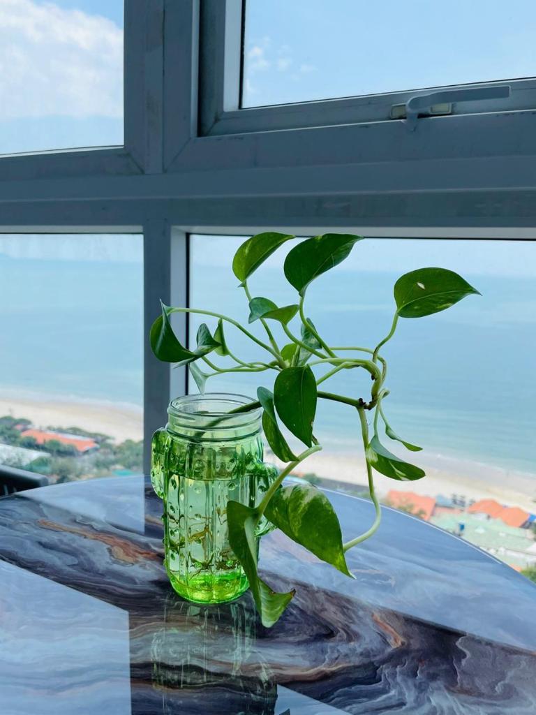 Căn hộ Oasky Bãi Sau Thùy Vân